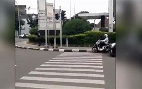 Pola Warna Pada Zebra Cross Adalah